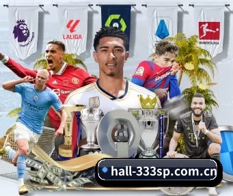 hall-333sp.com.cn APP